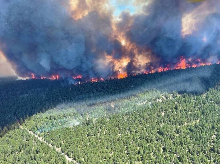 Ottawa orders 2-day shutdown of rail service around Lytton wildfires