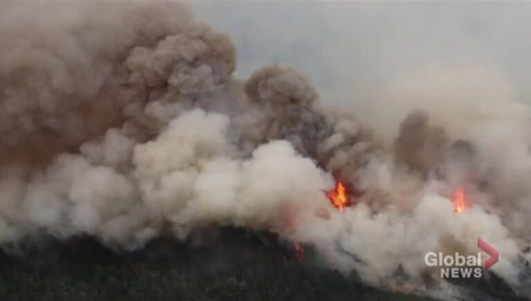 Another northern Ontario First Nation evacuated due to wildfire threat
