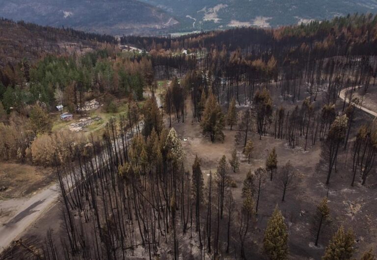 B.C. wildfires drop to 225 as some rain moves in but caution still urged