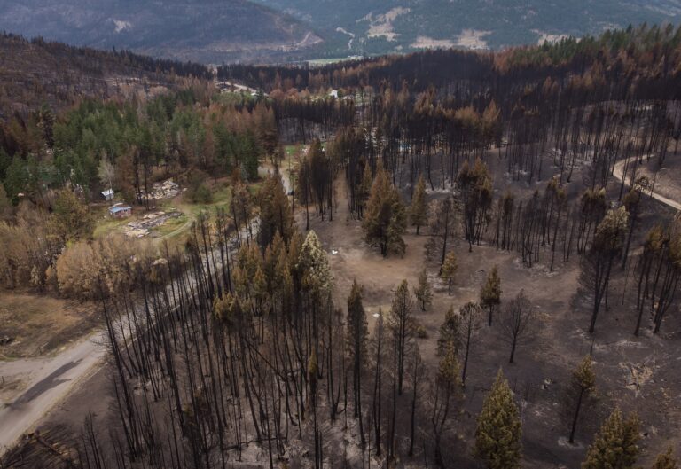 Canada’s wildfires, extreme heat bring environmental issues to election campaign