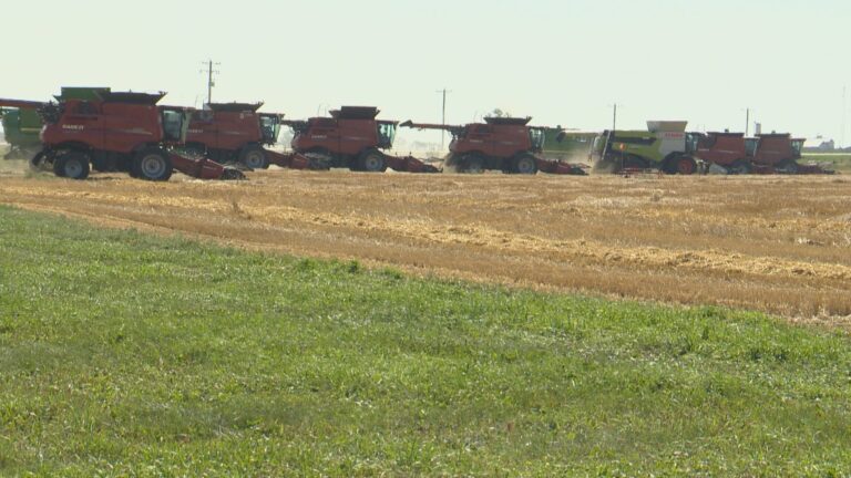 Southern Alberta farmers harvest to fight hunger