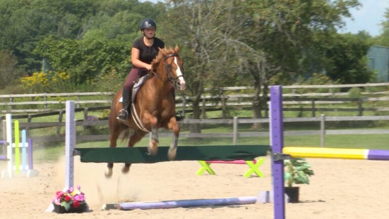 Equestrian show jumping: It’s not as easy as it looks.