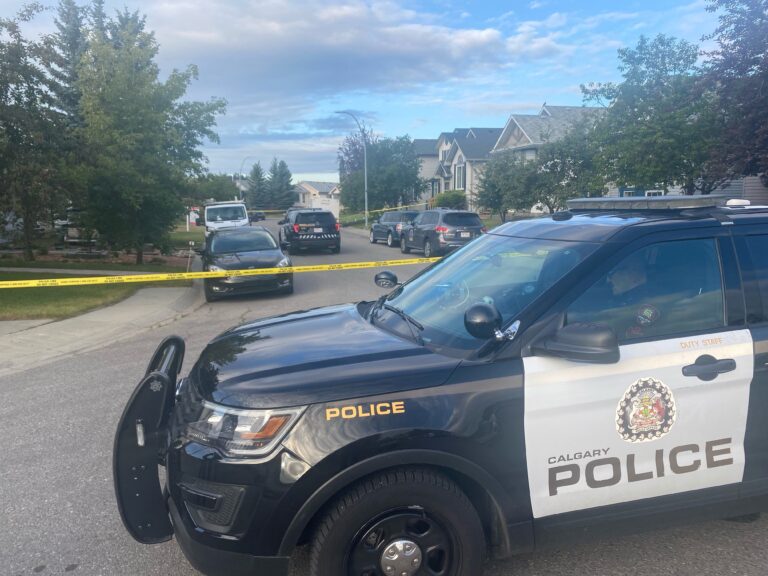 Calgary police identify victim in Erin Woods homicide, search for vehicle of interest