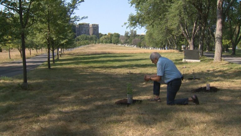 ‘A sendoff back to nature’: Montreal cemetery offers green burials
