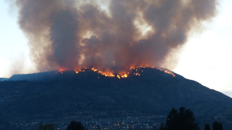 Wildfire near Penticton, B.C. balloons to 100 hectares, marches towards luxury development