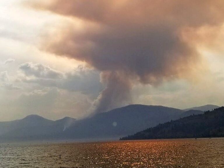 White Rock Lake wildfire: Planned ignition delayed because of rain