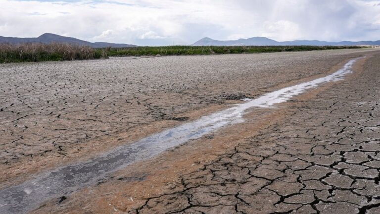 Judge tosses Trump rollback of clean water safeguards
