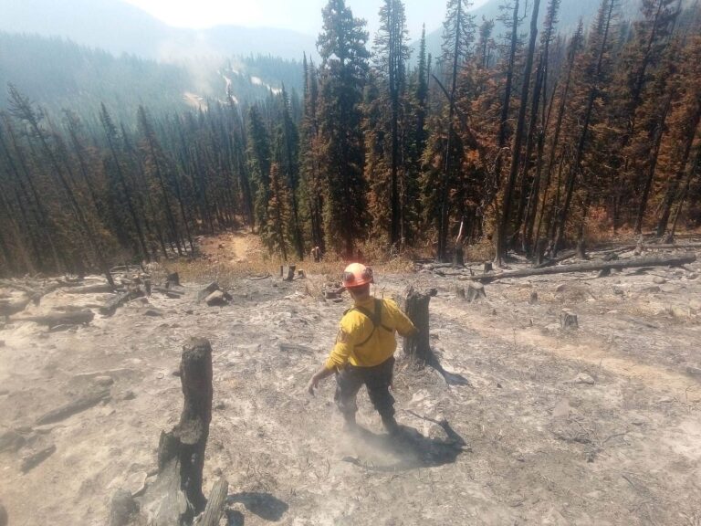 Another 3 B.C. wildfires ‘being held,’ but 236 still active across province