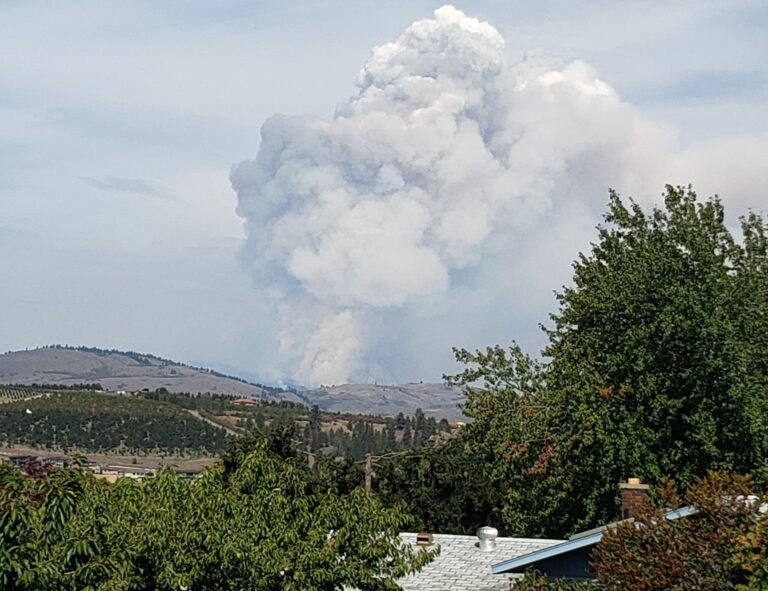 Officials warn of smoke from planned ignition near White Rock Lake wildfire
