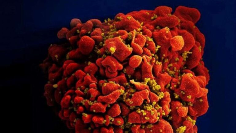 Johnson & Johnson HIV vaccine trial fails mid-stage study