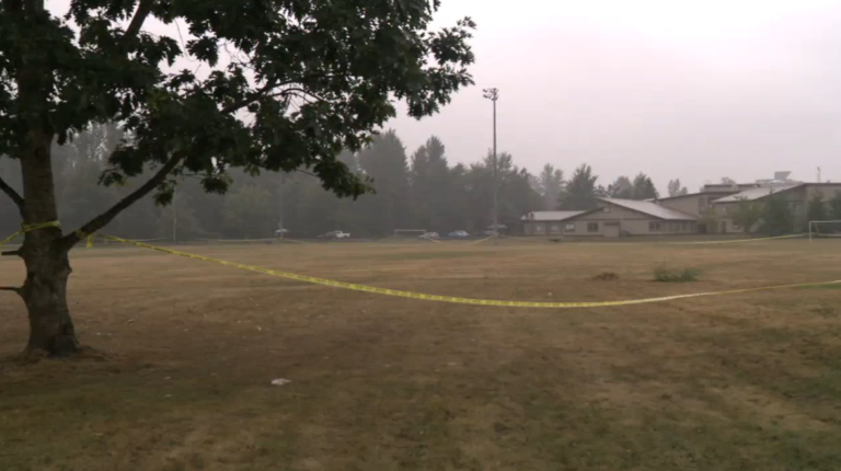 Homicide investigators called to Agassiz, B.C. after 25-year-old man found dead