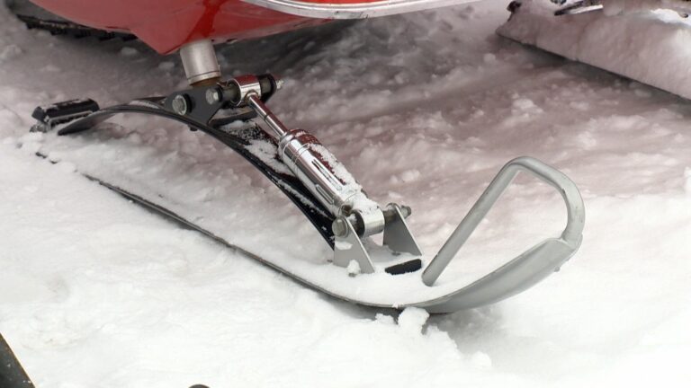 Coroner releases report into 2020 death of 6 snowmobilers in Lac-St-Jean, Que.