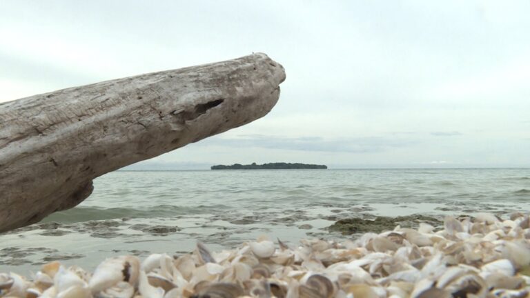 Lake Ontario’s Marysburgh Vortex home to shipwrecks, strange reported sightings