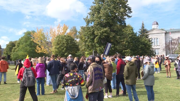 Hundreds of Kingstonians participate in global climate strike