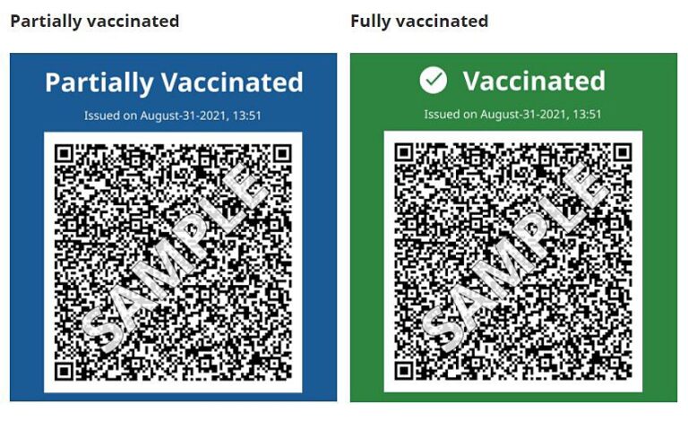 B.C.’s vaccine card comes into effect Monday. Here’s what you need to know