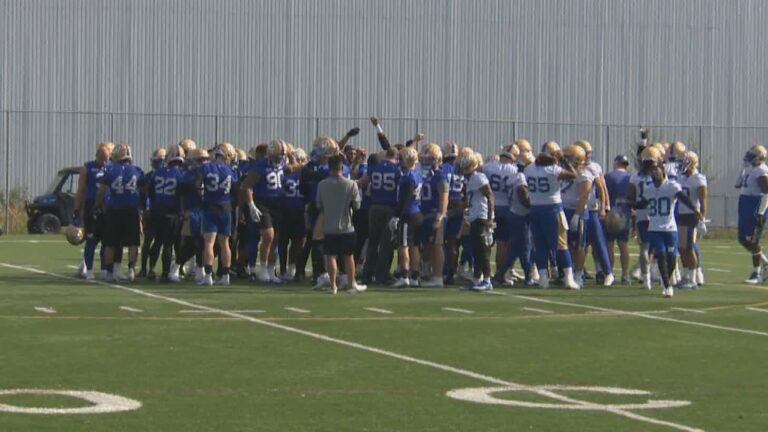 Winnipeg Blue Bombers getting healthy after bye week