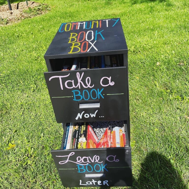 Beloved community book box plucked from Kirkland front lawn