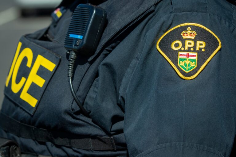 Police investigate fatal crash near Wardsville, Ont.