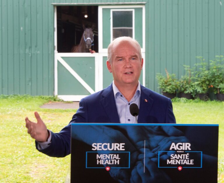 O’Toole vows to raise penalties for gun crimes