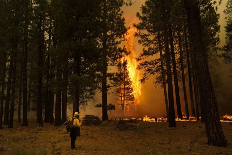 Thousands flee as winds push California wildfire dangerously close to Lake Tahoe