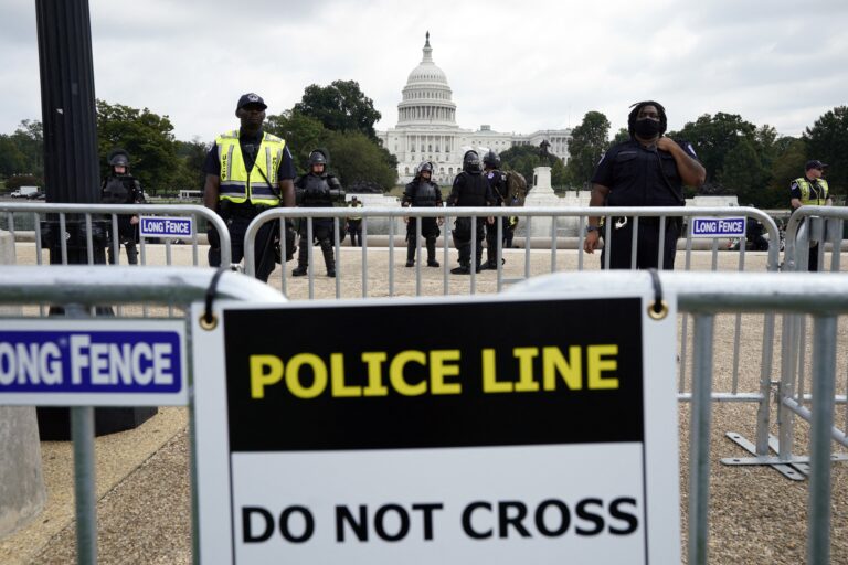 Trump allies subpoenaed in Capitol insurrection probe