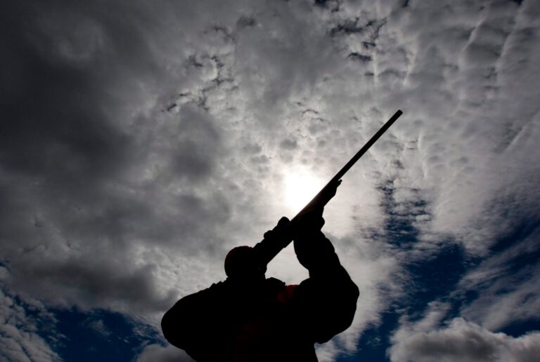 1st provincial chief firearms officer appointed in Saskatchewan