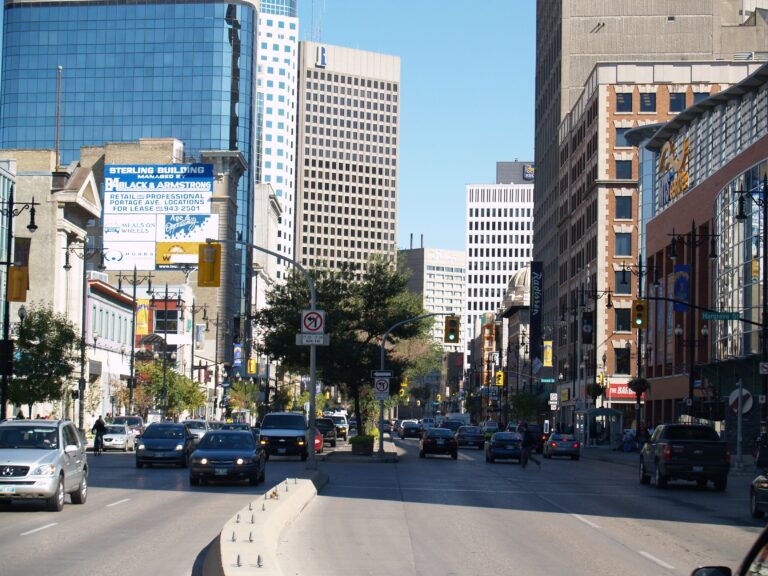 BIZ launches new outdoor workspace in downtown Winnipeg