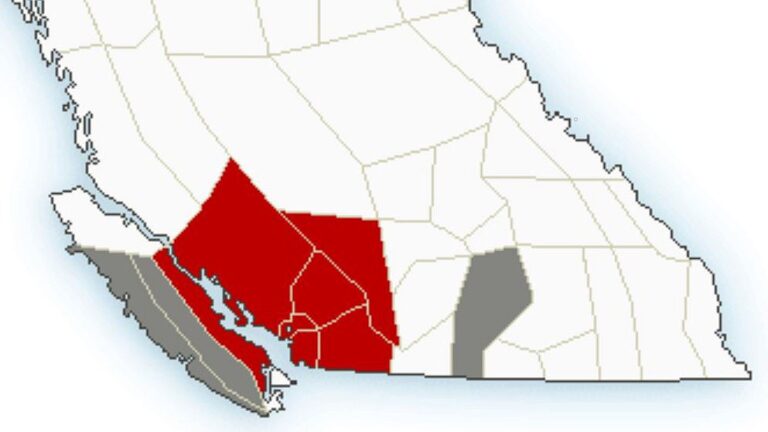 Environment Canada issues wind statement for Okanagan