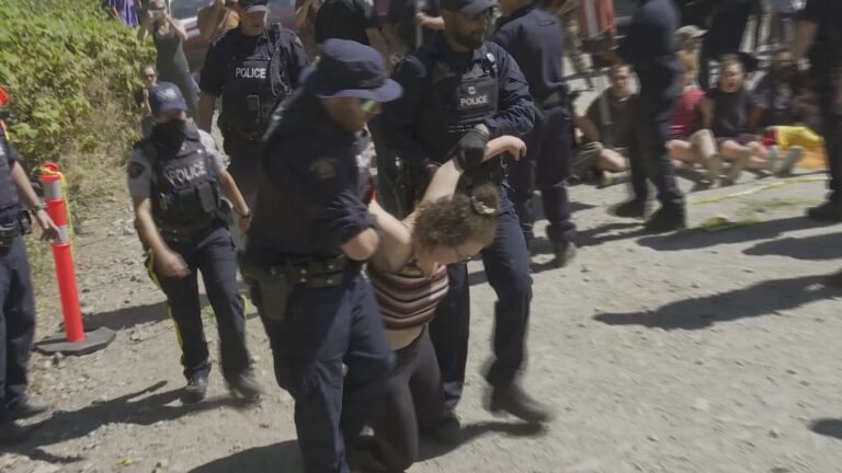 BC RCMP’s acting commanding officer open to independent agency oversight after Fairy Creek protests