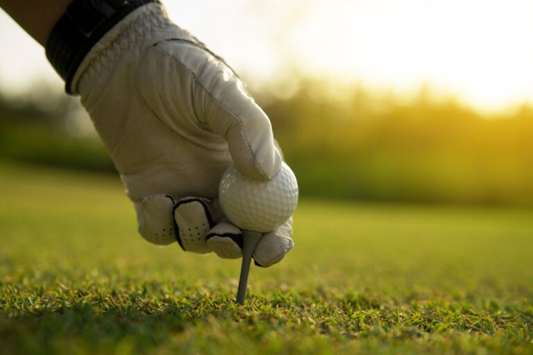 Nova Scotia woman charged for leaving dogs in hot car while golfing