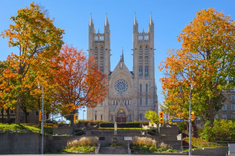 COVID-19 outbreak connected to Guelph, Ont. wedding: public health
