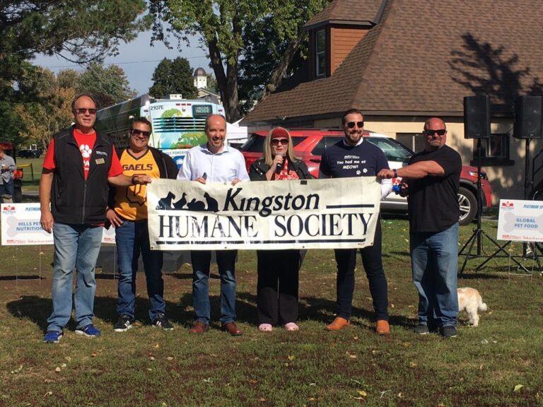 Kingston Humane Society hosts first in-person event since pandemic began