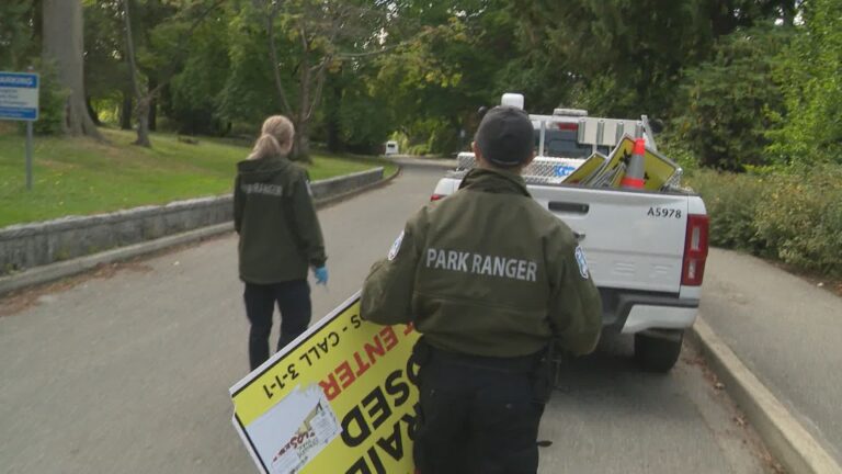 Two arrested after allegedly feeding coyotes in Stanley Park