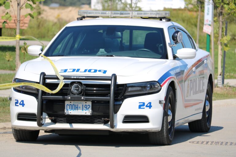 Information sought in serious assault near Western University: London police