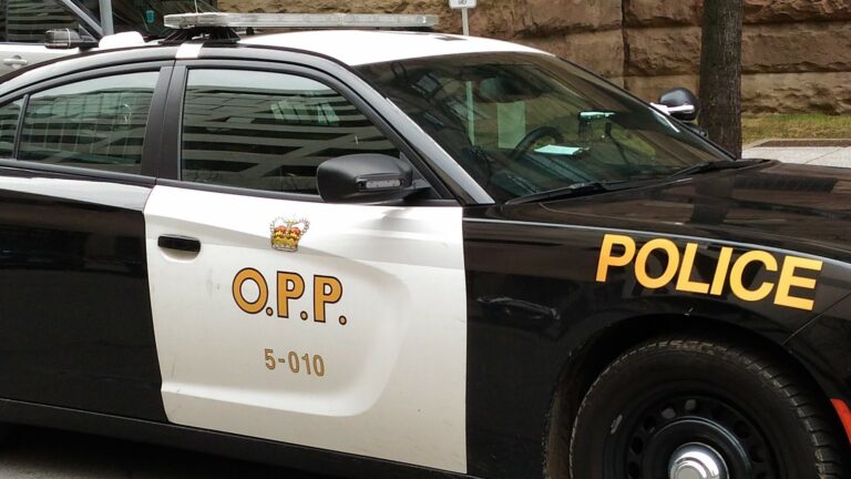 2 arrested as City of Kawartha Lakes OPP use spike belt to stop fleeing vehicle
