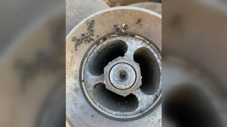 Zebra mussels intercepted by Saskatchewan Environment near Manitoba border