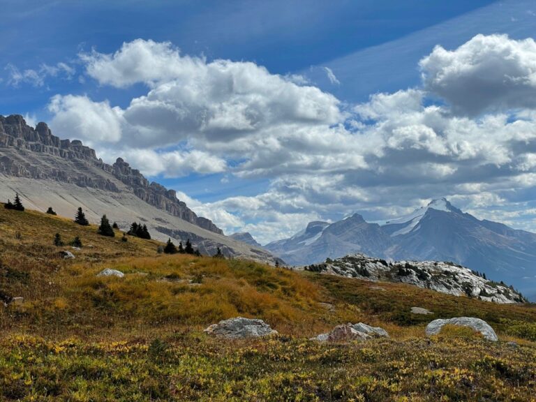 ‘Normal’ autumn expected after one of the hottest summers ever in Alberta