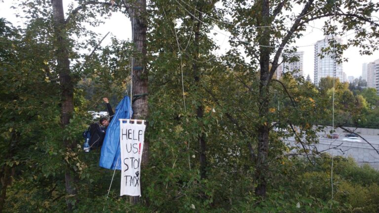 One arrested, charged at Burnaby ‘tree-sit’ against Trans Mountain pipeline