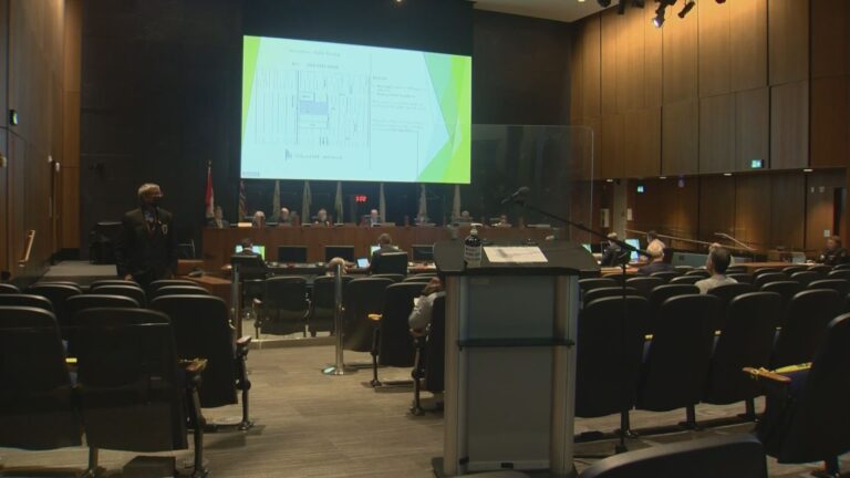 Surrey mayor bans several people from speaking at council meetings