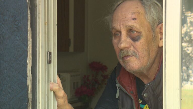 Edmonton seniors attacked in string of home invasions