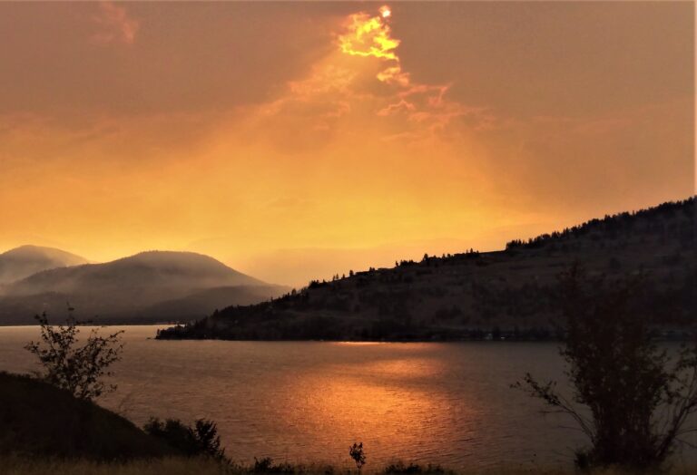 Man found ‘lost and disoriented’ in White Rock Lake wildfire zone