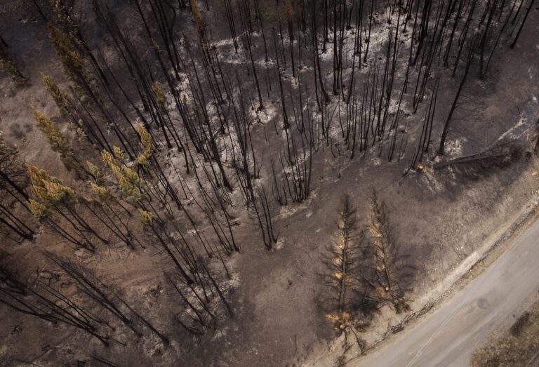 White Rock Lake wildfire could burn into winter, say officials