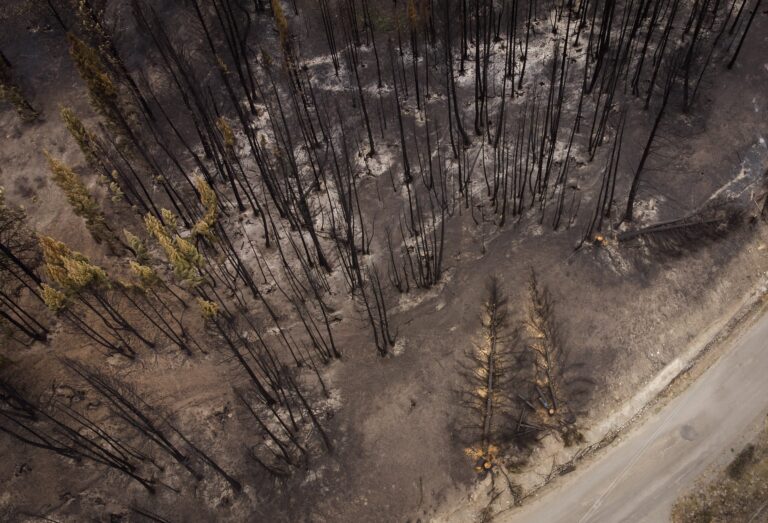 B.C. must shore up risk crisis communications before, during, after wildfires: report