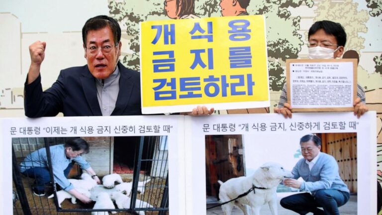 S. Korean leader’s review of ban on eating dog meat welcomed