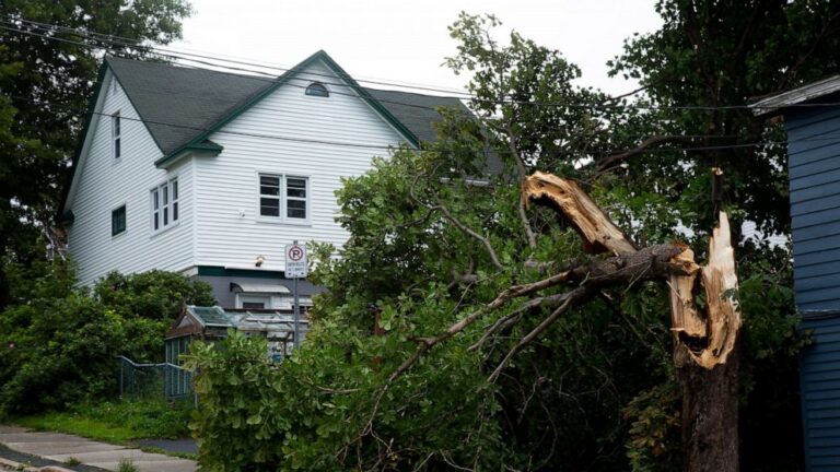Hurricane Larry wipes out power, trees in Newfoundland