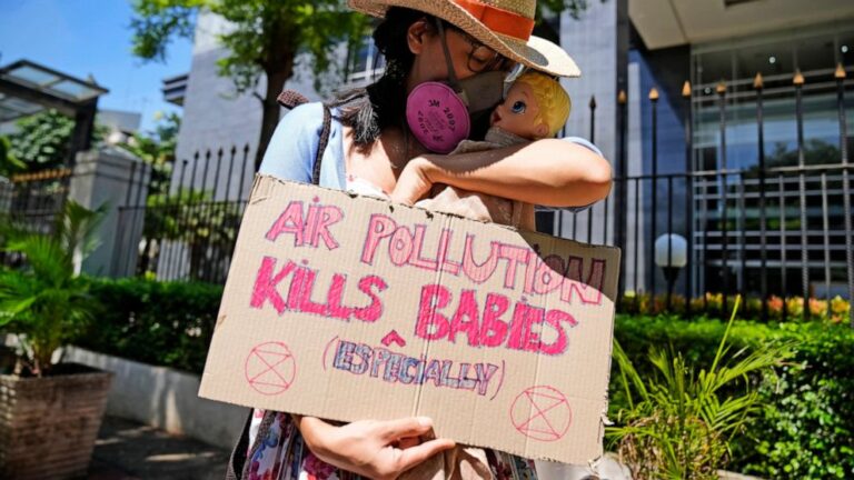 Indonesian court rules president negligent over pollution