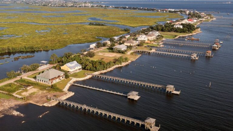 Search still on for man attacked by gator in Ida floodwaters