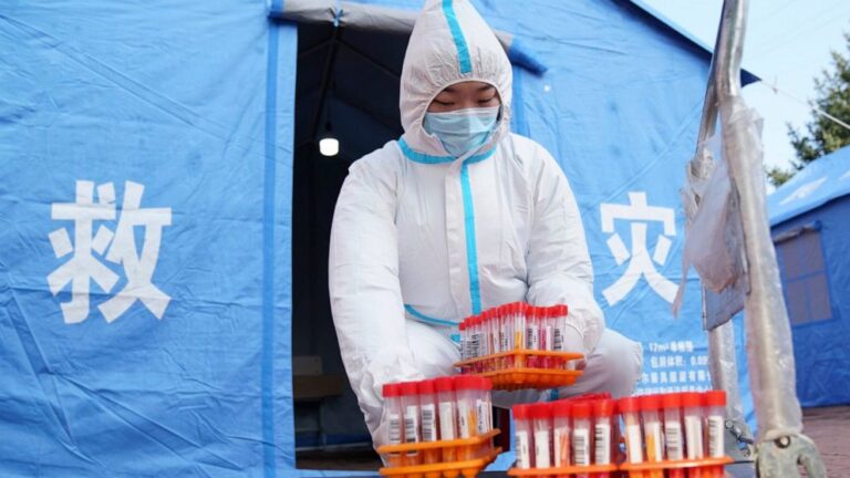 China kills 3 housecats that tested positive for COVID-19