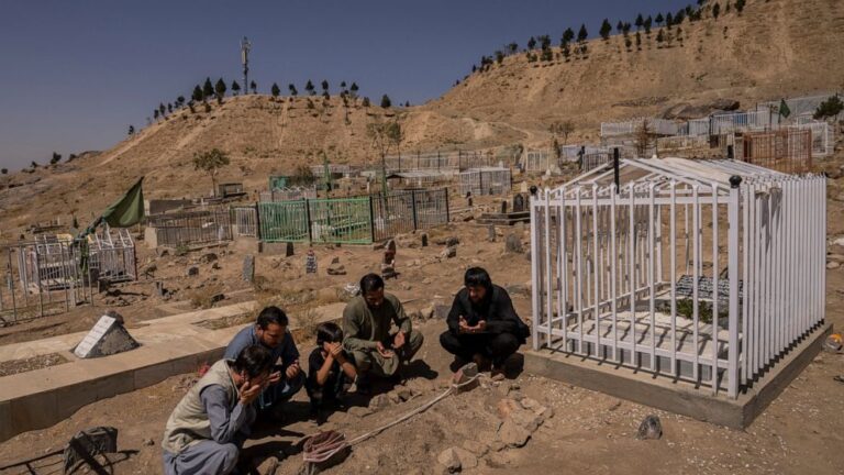 Afghan survivors of errant US drone strike seek probe
