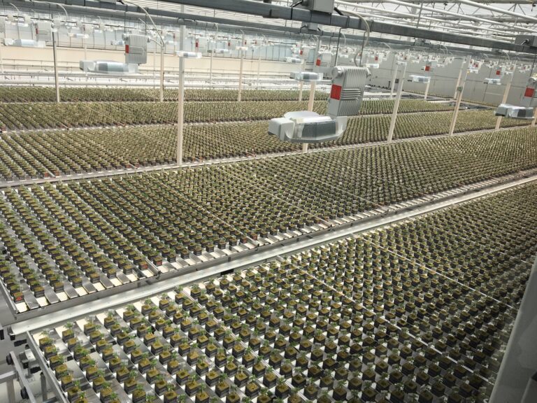 Aurora Cannabis closing 1 Edmonton facility, relocating manufacturing to Ontario